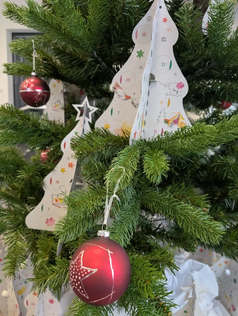 Papp-Adventskalender in Tannenform zwischen den Zweigen eines Weihnachtsbaums mit roten Kugeln