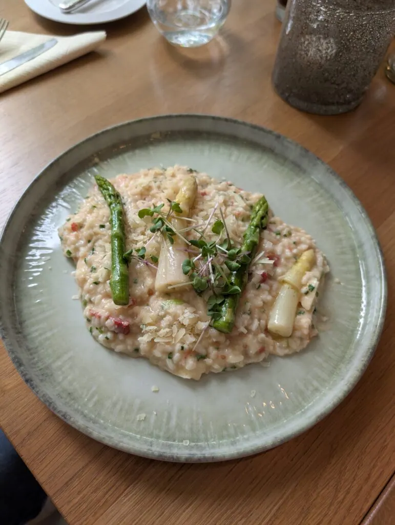 Spargelrisotto mit grünem und weißem Spargel auf einem Teller beim Mittagessen des Betriebsausflugs 2026
